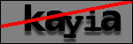 Testo da Identificare