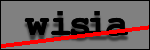 Testo da Identificare