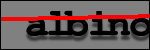 Testo da Identificare