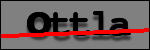 Testo da Identificare