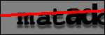 Testo da Identificare
