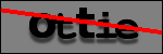 Testo da Identificare