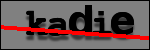 Testo da Identificare