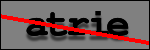 Testo da Identificare