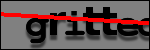 Testo da Identificare