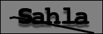 Testo da Identificare