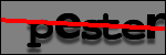 Testo da Identificare