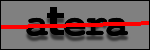 Testo da Identificare