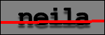 Testo da Identificare