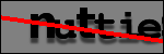 Testo da Identificare