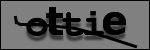 Testo da Identificare