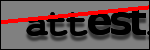 Testo da Identificare
