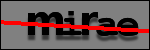 Testo da Identificare