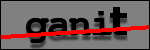 Testo da Identificare