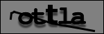 Testo da Identificare