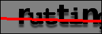Testo da Identificare