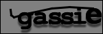 Testo da Identificare