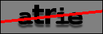Testo da Identificare
