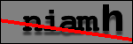 Testo da Identificare