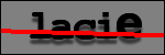 Testo da Identificare