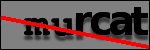 Testo da Identificare