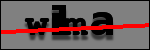 Testo da Identificare