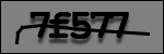 Testo da Identificare