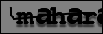Testo da Identificare