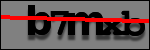 Testo da Identificare