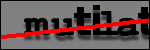 Testo da Identificare