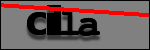 Testo da Identificare