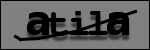 Testo da Identificare