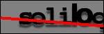 Testo da Identificare