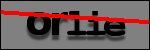 Testo da Identificare