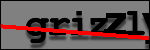 Testo da Identificare