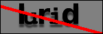Testo da Identificare