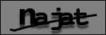 Testo da Identificare