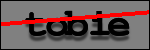 Testo da Identificare