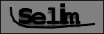 Testo da Identificare