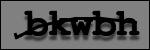 Testo da Identificare