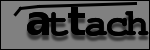 Testo da Identificare