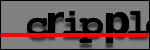 Testo da Identificare