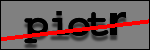 Testo da Identificare