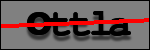 Testo da Identificare