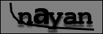 Testo da Identificare
