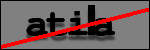 Testo da Identificare
