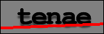 Testo da Identificare