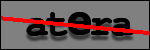 Testo da Identificare