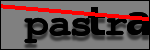 Testo da Identificare