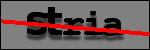 Testo da Identificare